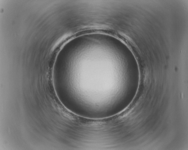 X0000060811163200511241928