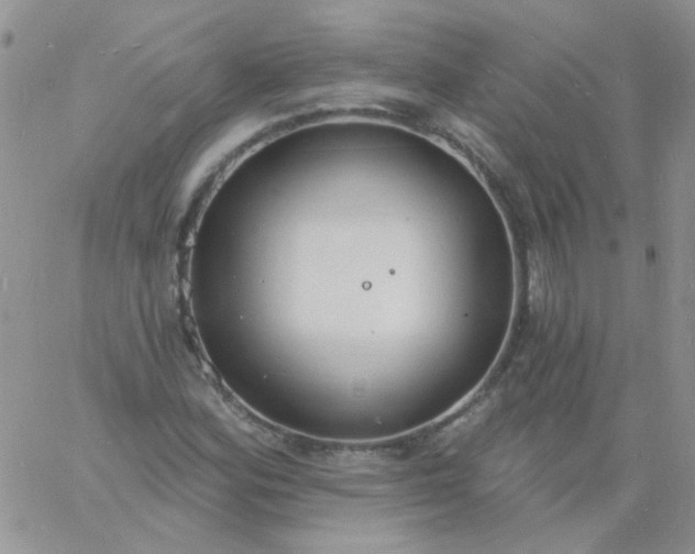 X0000060811164200511241928