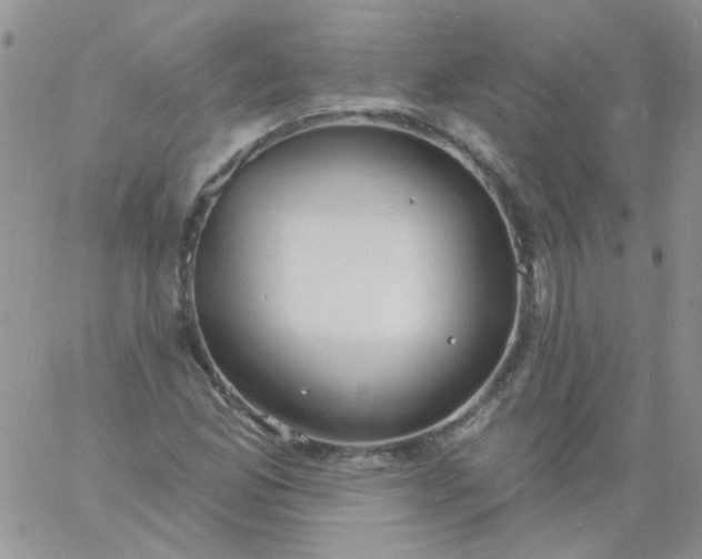 X0000060811165200511241928