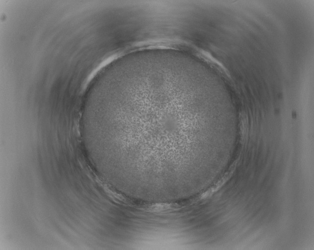 X0000060811166200511241928