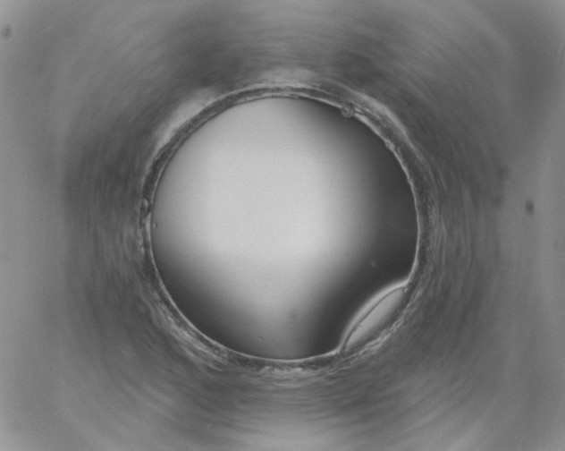 X0000060811168200511241928