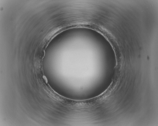 X0000060811169200511241928