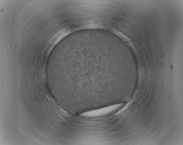 X0000060811170200511241928