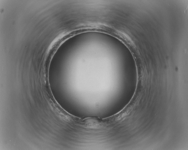 X0000060811172200511241928