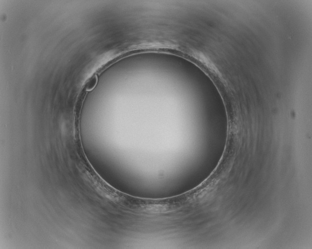 X0000060811173200511241928