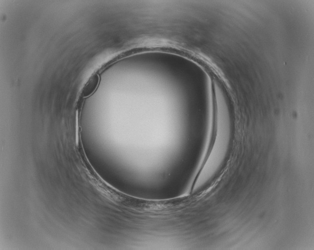 X0000060811175200511241928