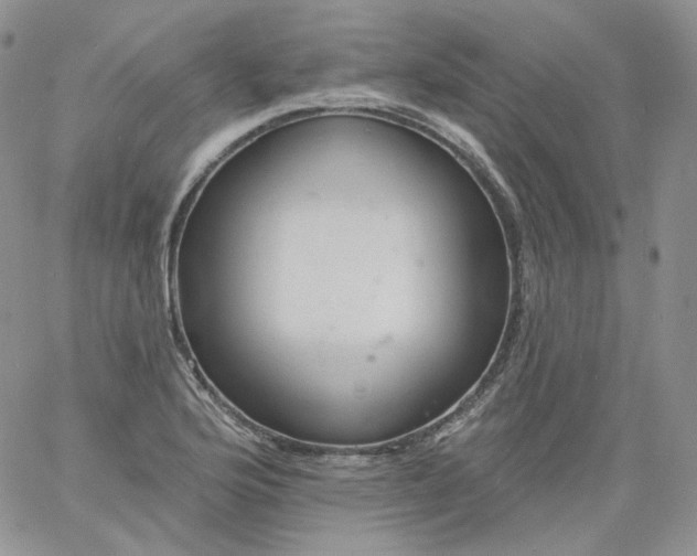 X0000060811176200511241928