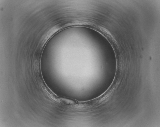 X0000060811177200511241928