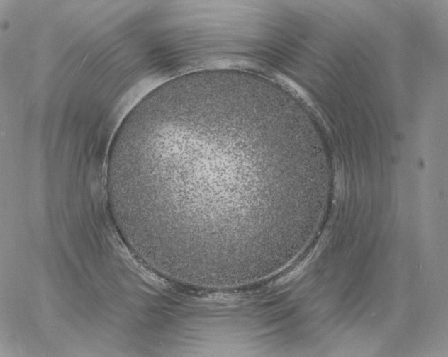 X0000060811178200511241928