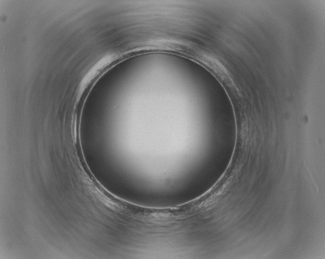 X0000060811180200511241928