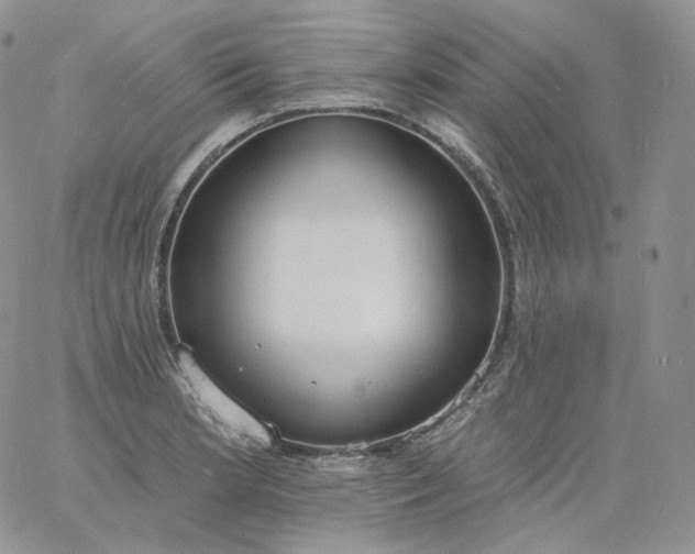 X0000060811181200511241928