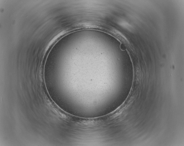 X0000060811182200511241928