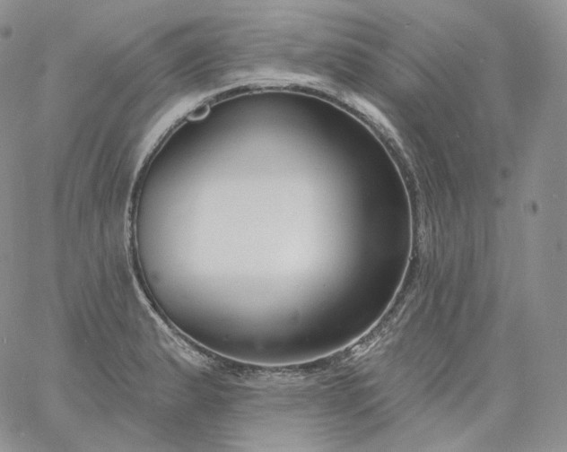 X0000060811183200511241928