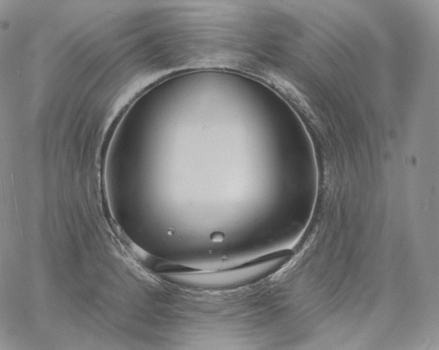 X0000060811184200511241928