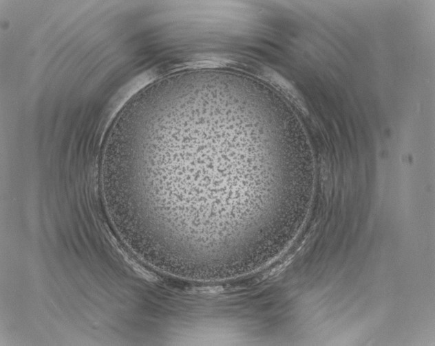 X0000060811186200511241928