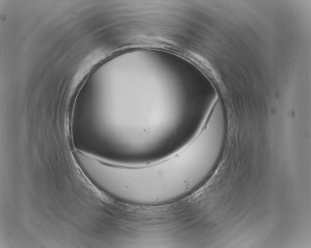 X0000060811188200511241928