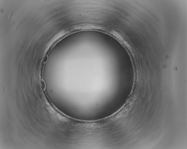 X0000060811189200511241928