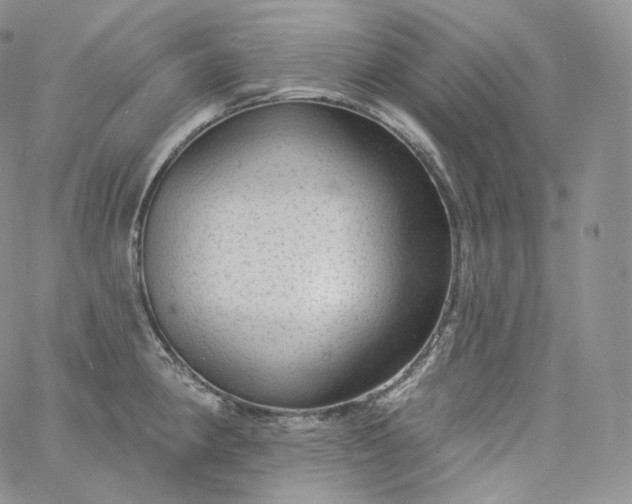 X0000060811190200511241928