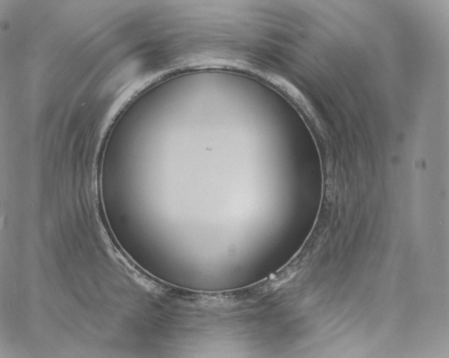 X0000060811191200511241928