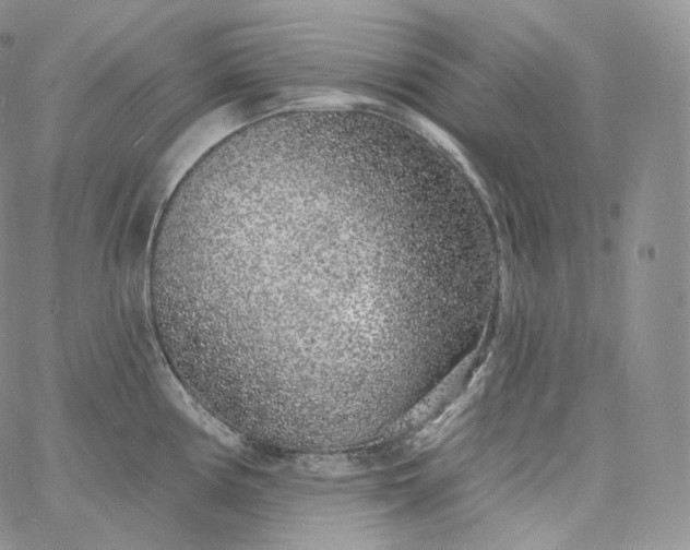 X0000060811194200511241928