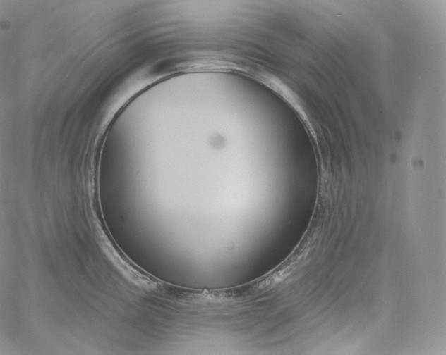 X0000060811195200511241927