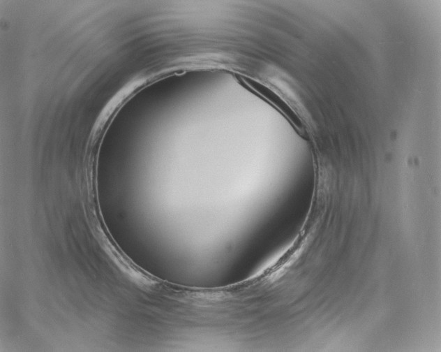 X0000060811196200511241927