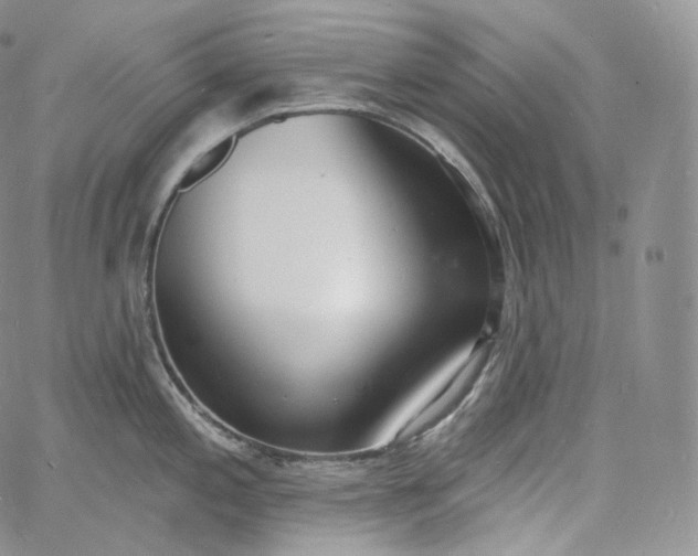 X0000060811197200511241927