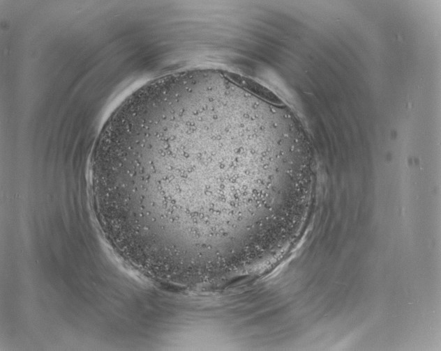 X0000060811198200511241927