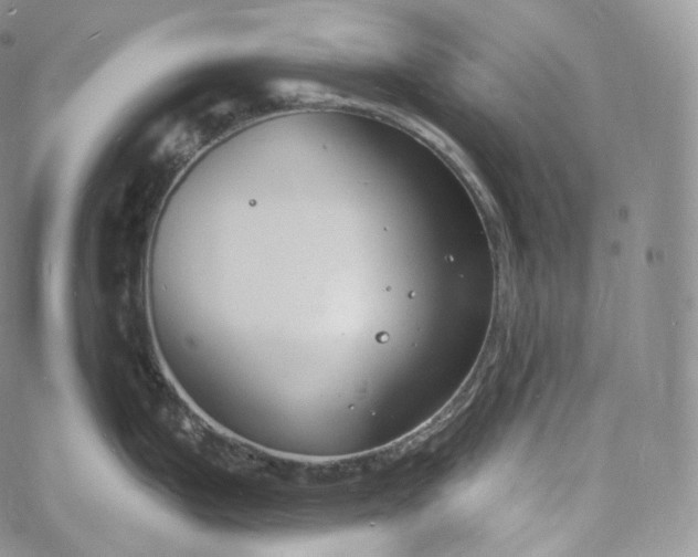 X0000060811199200511241927