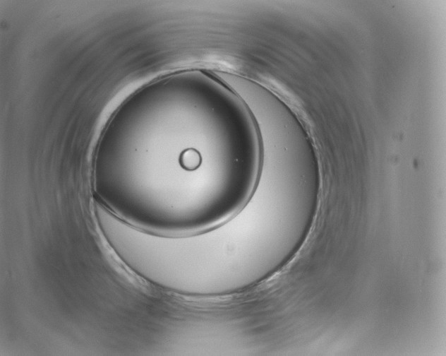 X0000060811200200511241927