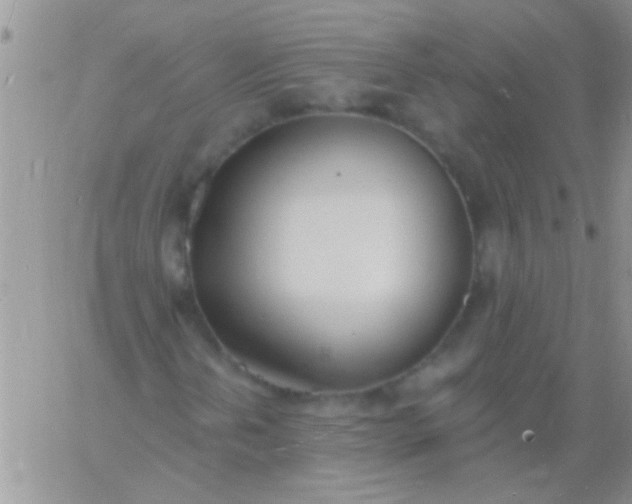 X0000060811202200511241927