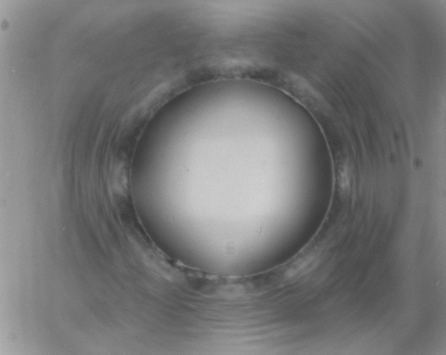 X0000060811204200511241927