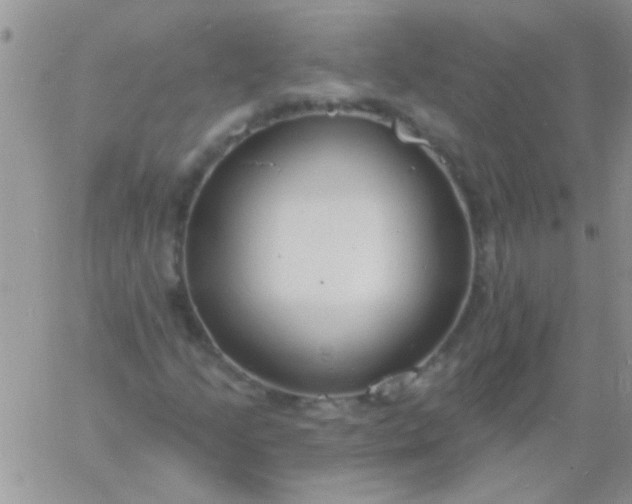 X0000060811205200511241927