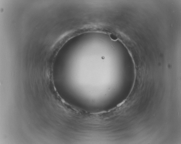 X0000060811206200511241927