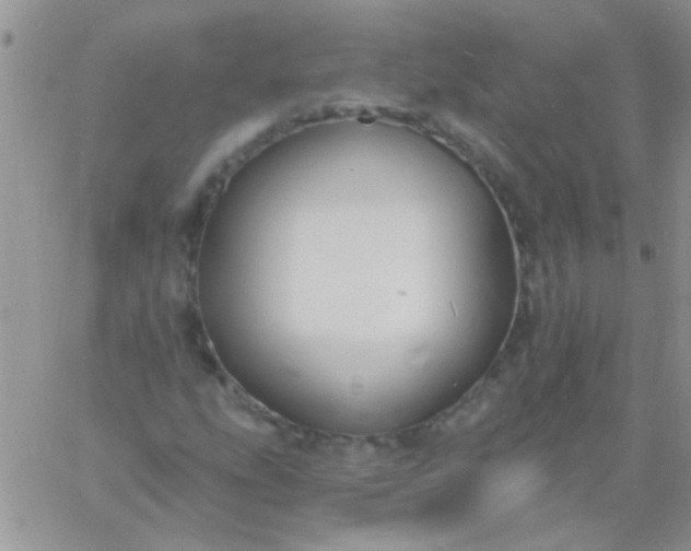 X0000060811207200511241927