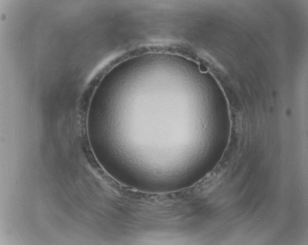 X0000060811208200511241927