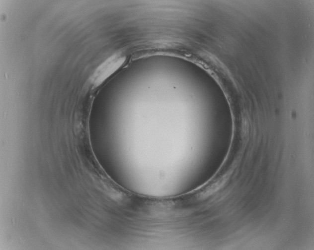 X0000060811210200511241927