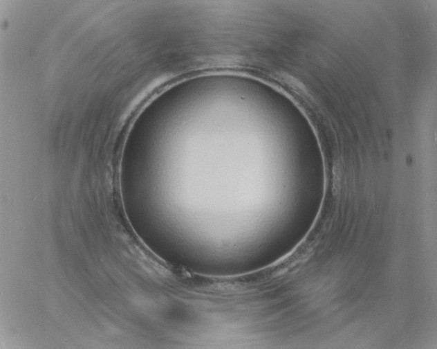 X0000060811212200511241927