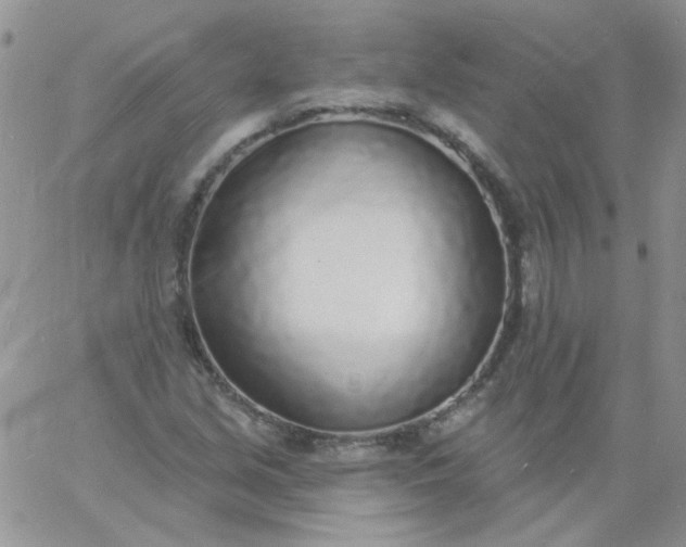 X0000060811213200511241927