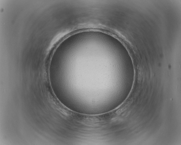 X0000060811215200511241927