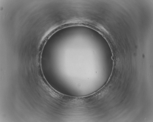 X0000060811216200511241927