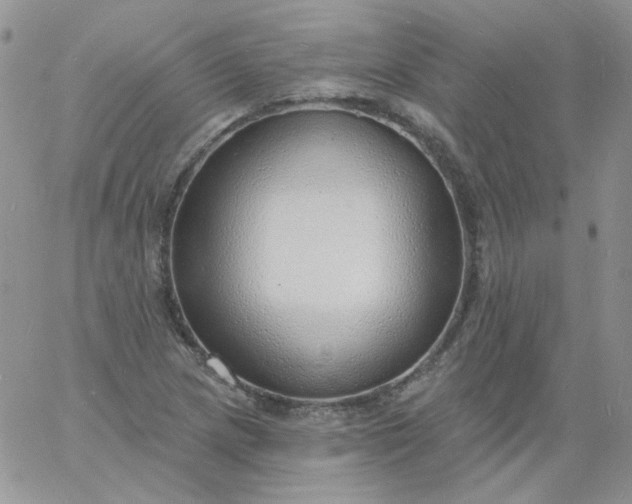 X0000060811217200511241927