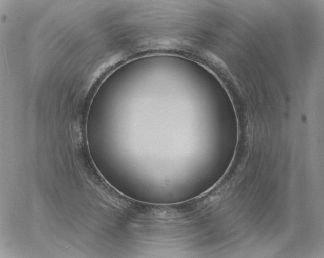 X0000060811218200511241927