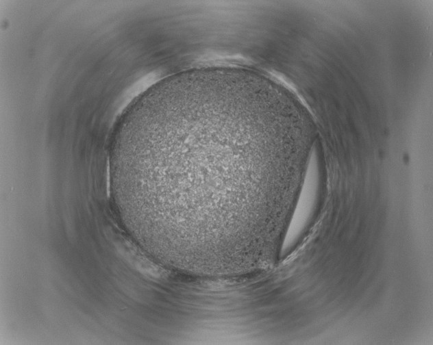 X0000060811219200511241927