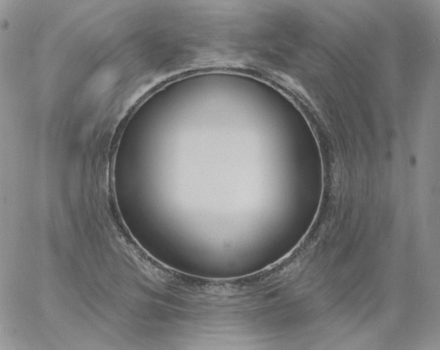 X0000060811220200511241927