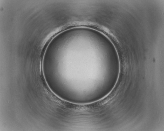 X0000060811221200511241927