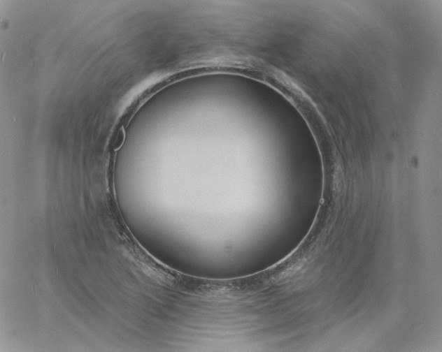 X0000060811222200511241927