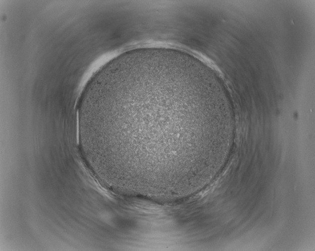 X0000060811223200511241927