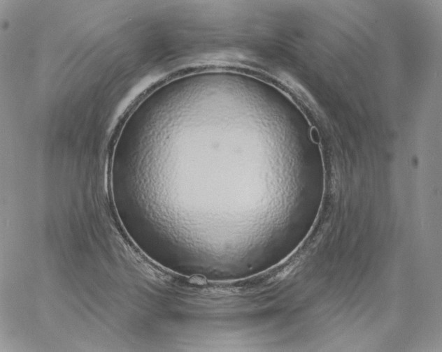 X0000060811224200511241927