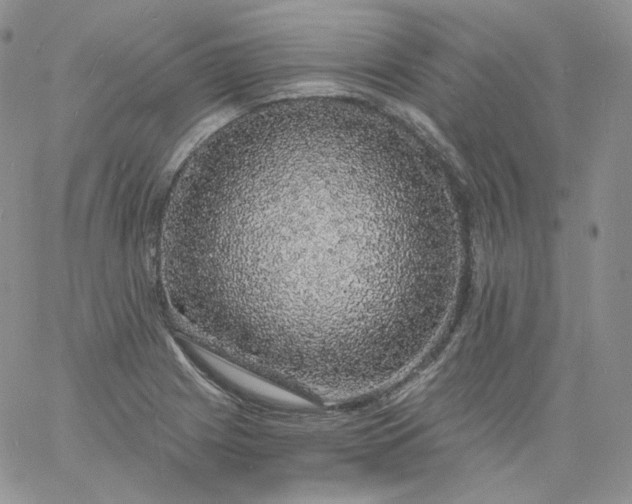 X0000060811225200511241927